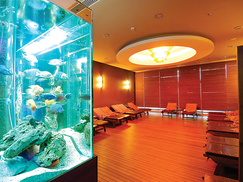 Alaiye Resort & Spa Hotel  