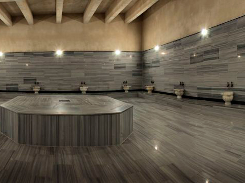 Büyük Anadolu Ereğli  