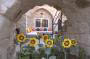 Dere Suites Cappadocia / Hotel Genel Görünüm
