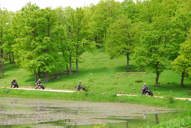 Gazelle Resort Bolu  