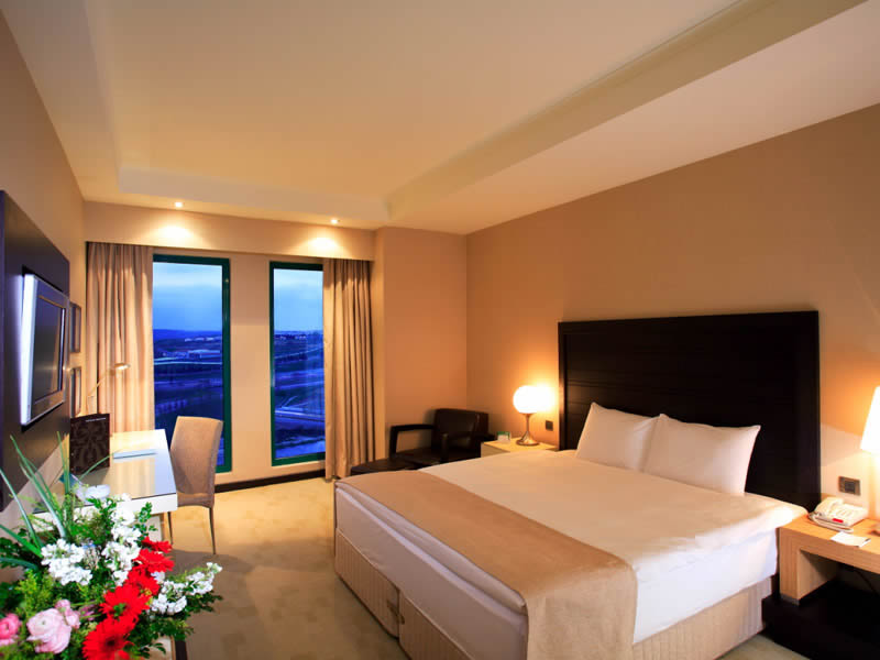 Holiday Inn Istanbul Airport  