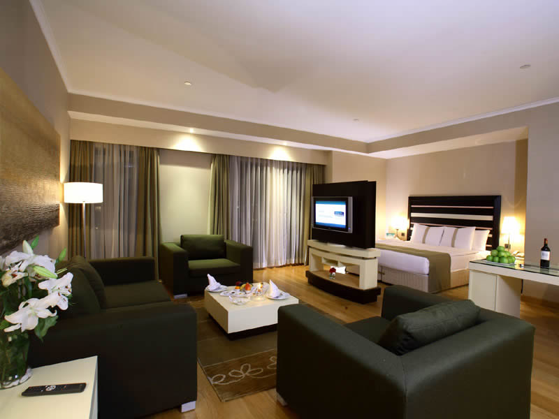 Holiday Inn Istanbul Airport  