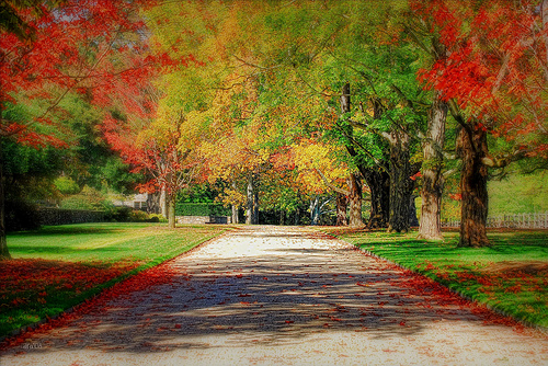 Paradise Island Hotel Bayramoğlu  