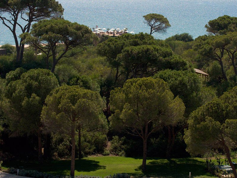 Rixos  Premium Belek / Genel Görünüm