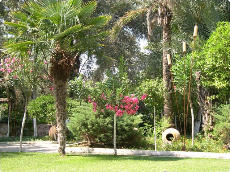 Sentido Marina Suites  