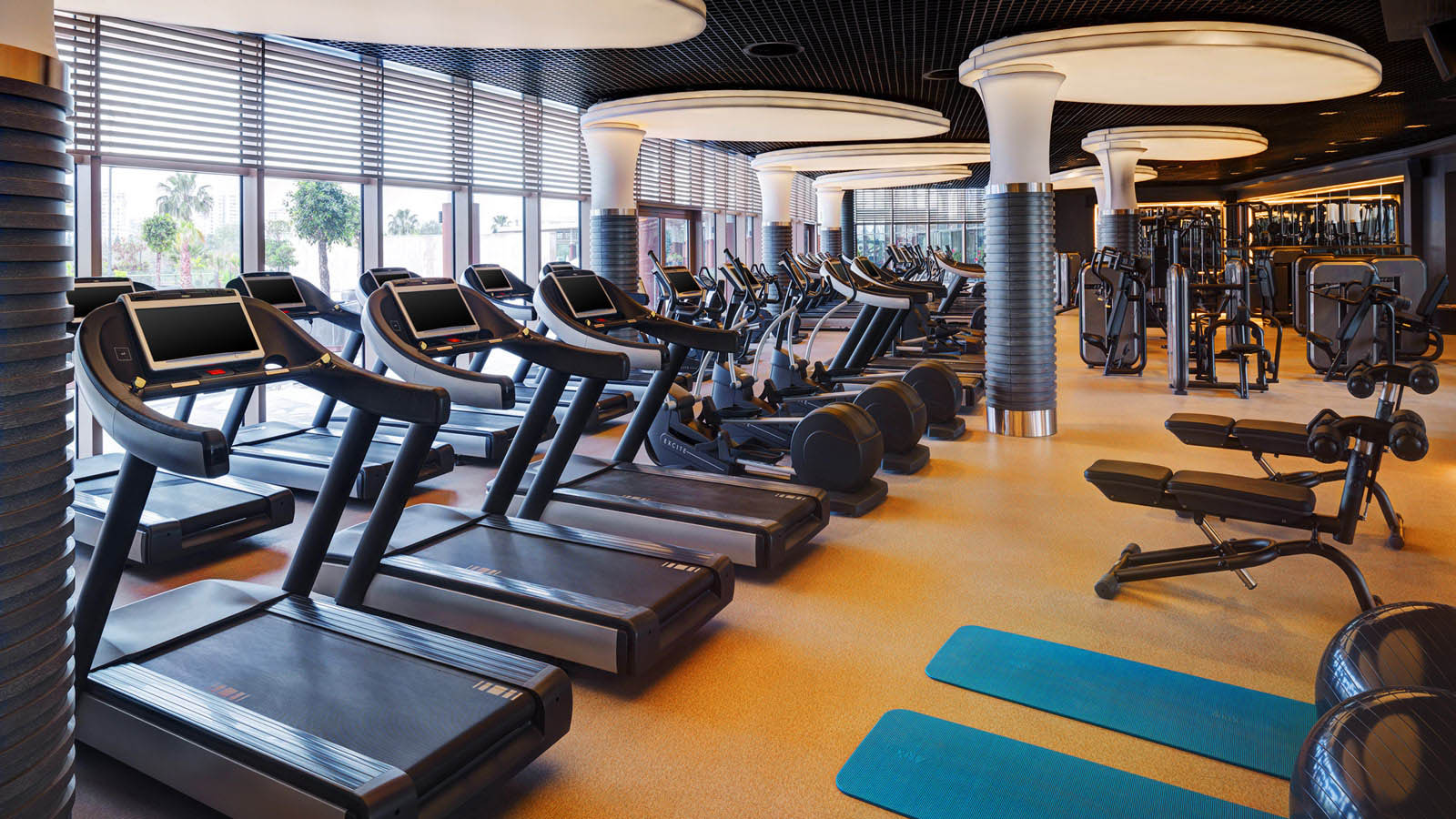 Sheraton Grand Adana  Hotel / Fitness