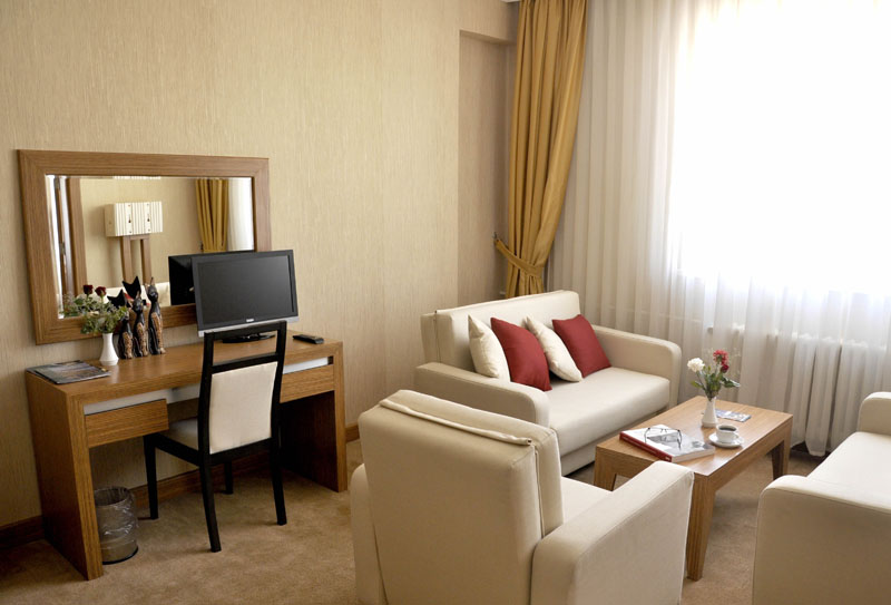 Tamara Business Hotel / Suit. Oda