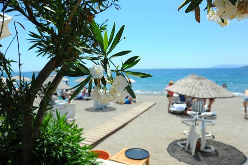 Teos Ormancı Tatil Köyü  