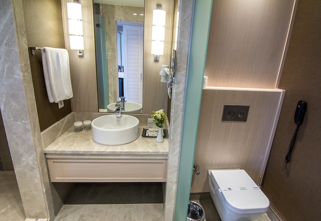 The Green Park Hotel Ankara / standart oda banyo
