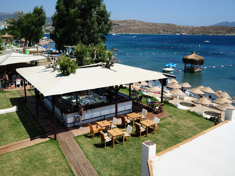 The Luvi Hotel  
