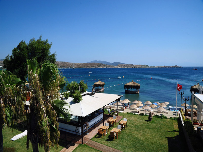 The Luvi Hotel  