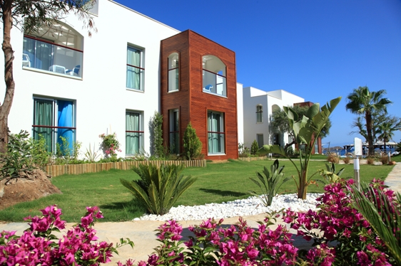 The Luvi Hotel  