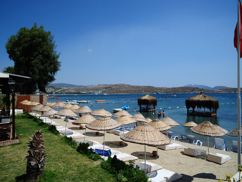 The Luvi Hotel  