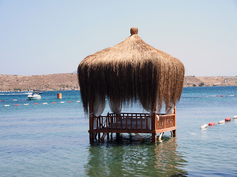 The Luvi Hotel  