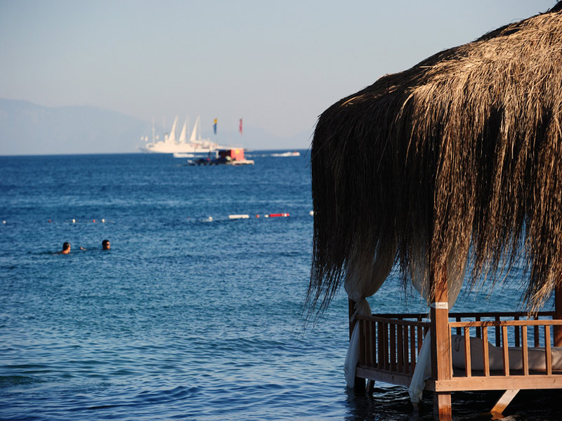 The Luvi Hotel  