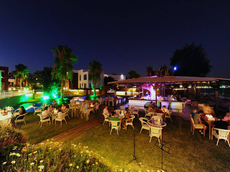 The Luvi Hotel  