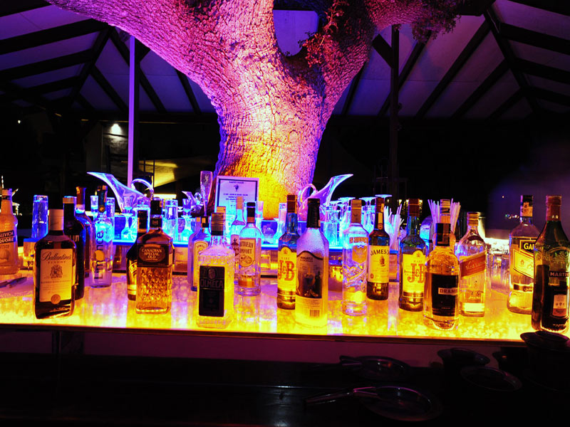 The Luvi Hotel  